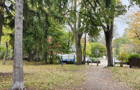 A New Path to Green Space: How One Toronto Trail Project Could Change Daily Life Nearby