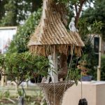 What a Handful of Bonsai Trees Can Teach Architecture About Scale and Restraint