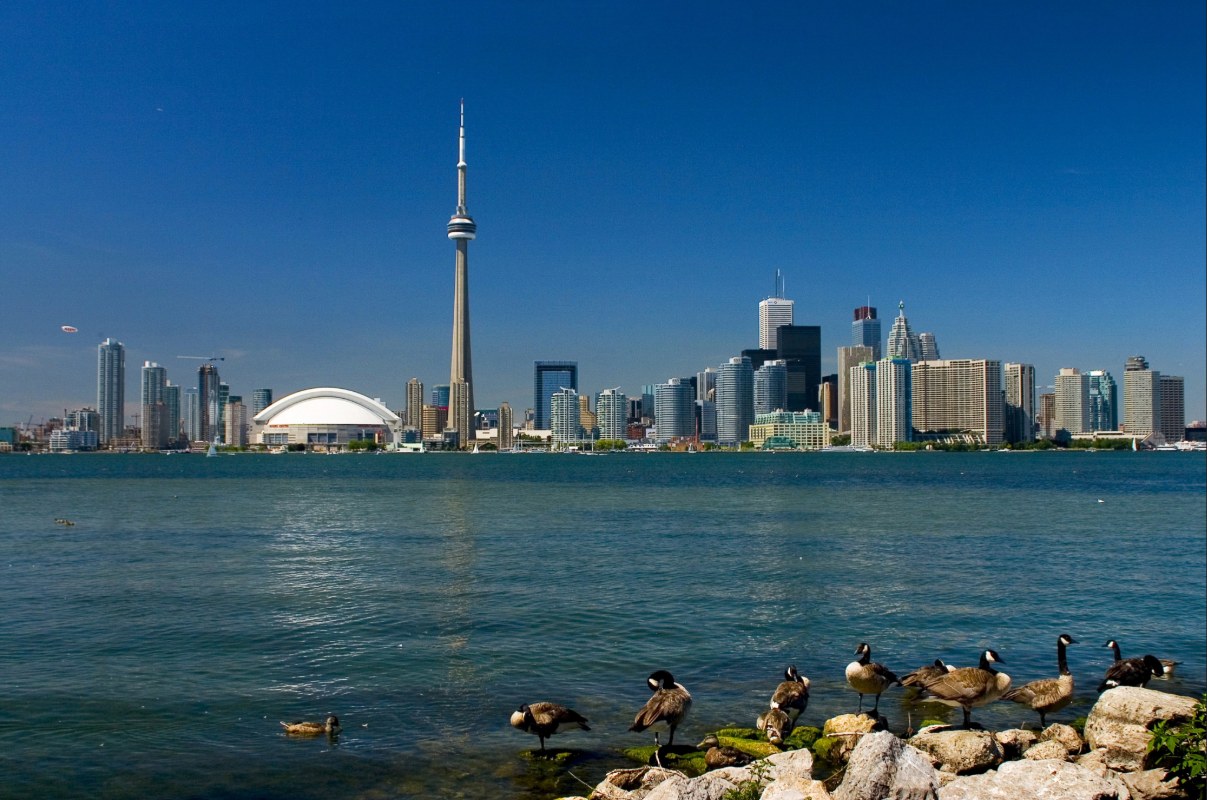Toronto skyline near the waterfront