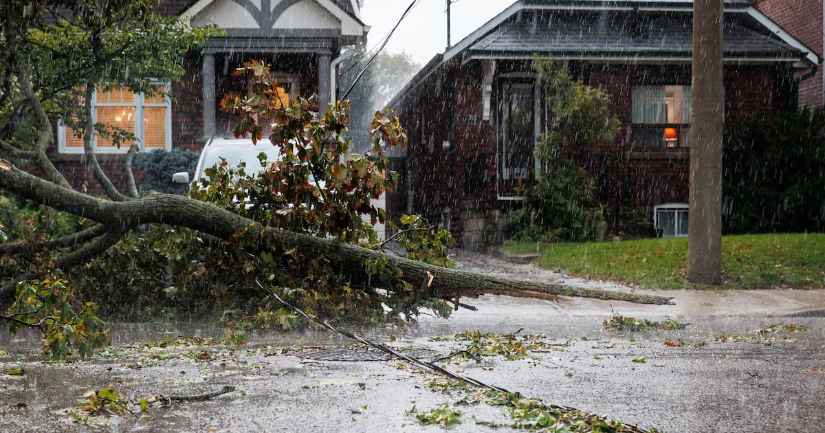 Storm damage at Rogers Stadium in Toronto the day after the severe weather event