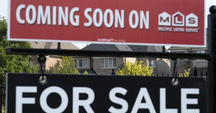 Canadian housing market skyline representing investment conditions amid foreign buyer ban review